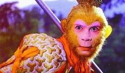 在线观看孙悟空,在线观看，揭秘齐天大圣的奇幻之旅